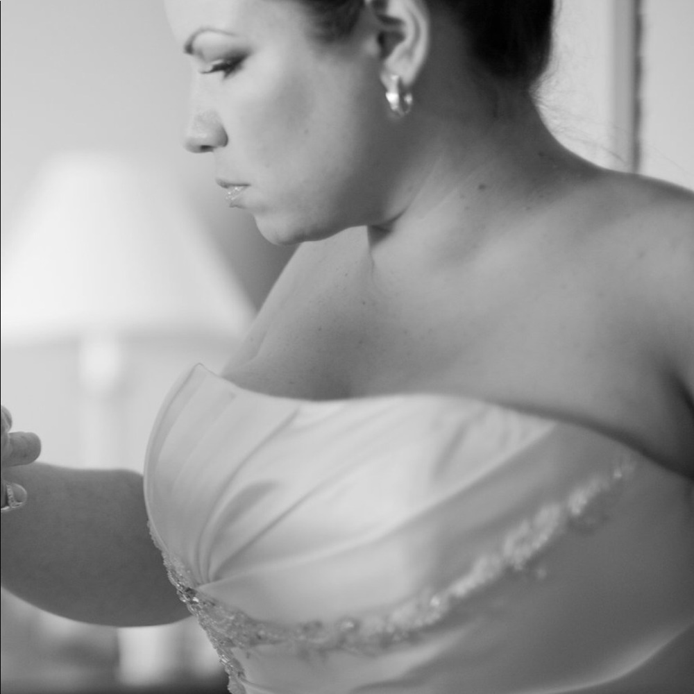 Maggie Sottero wedding gown (veil included)